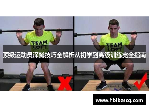 顶级运动员深蹲技巧全解析从初学到高级训练完全指南